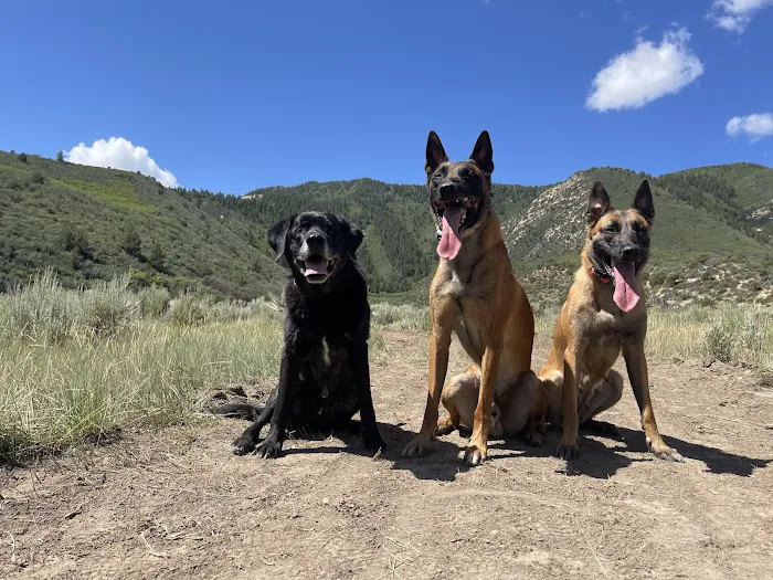 Western Animal Clinic 12
