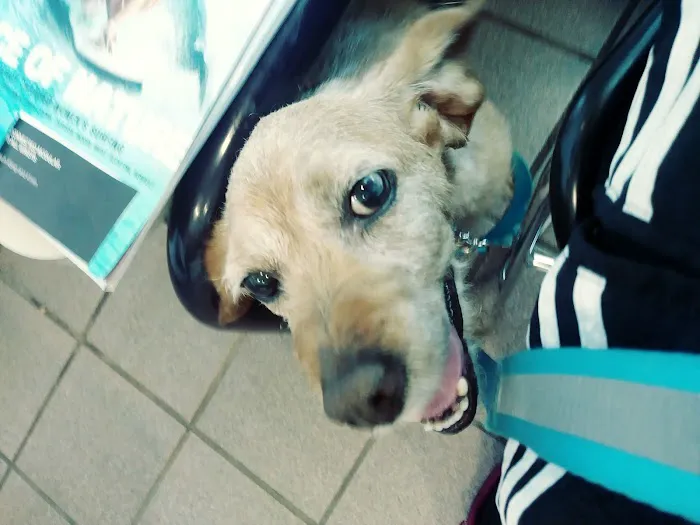 Dumb Friends League Veterinary Hospital at CSU Spur 12
