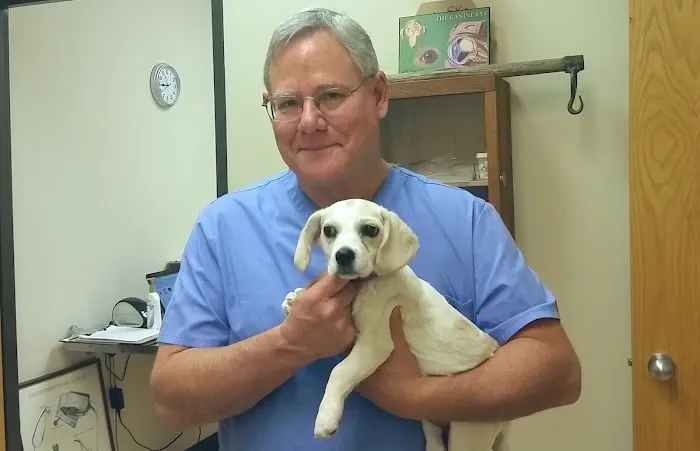 Valley Veterinary Hospital 12