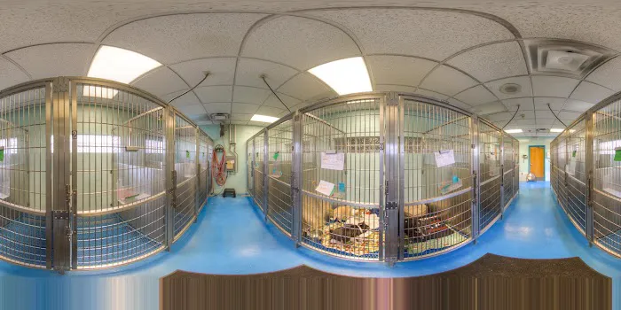 Kipling Veterinary Hospital and Wellness Center 12