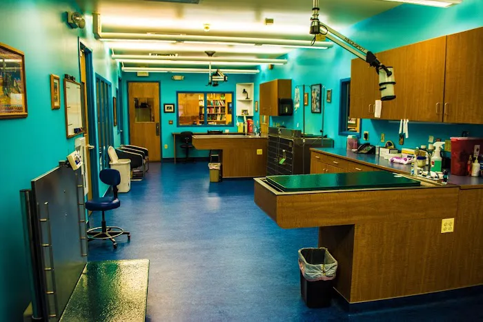 Kipling Veterinary Hospital and Wellness Center 12
