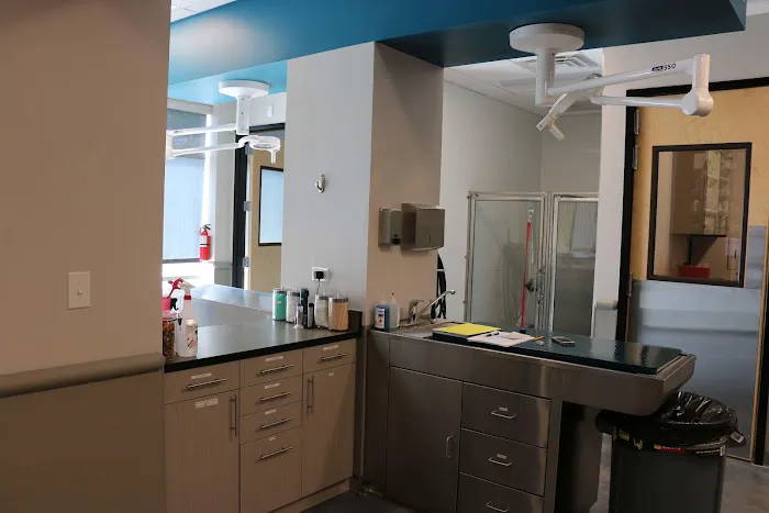 5280 Veterinary Care 12