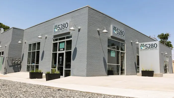 5280 Veterinary Care 12