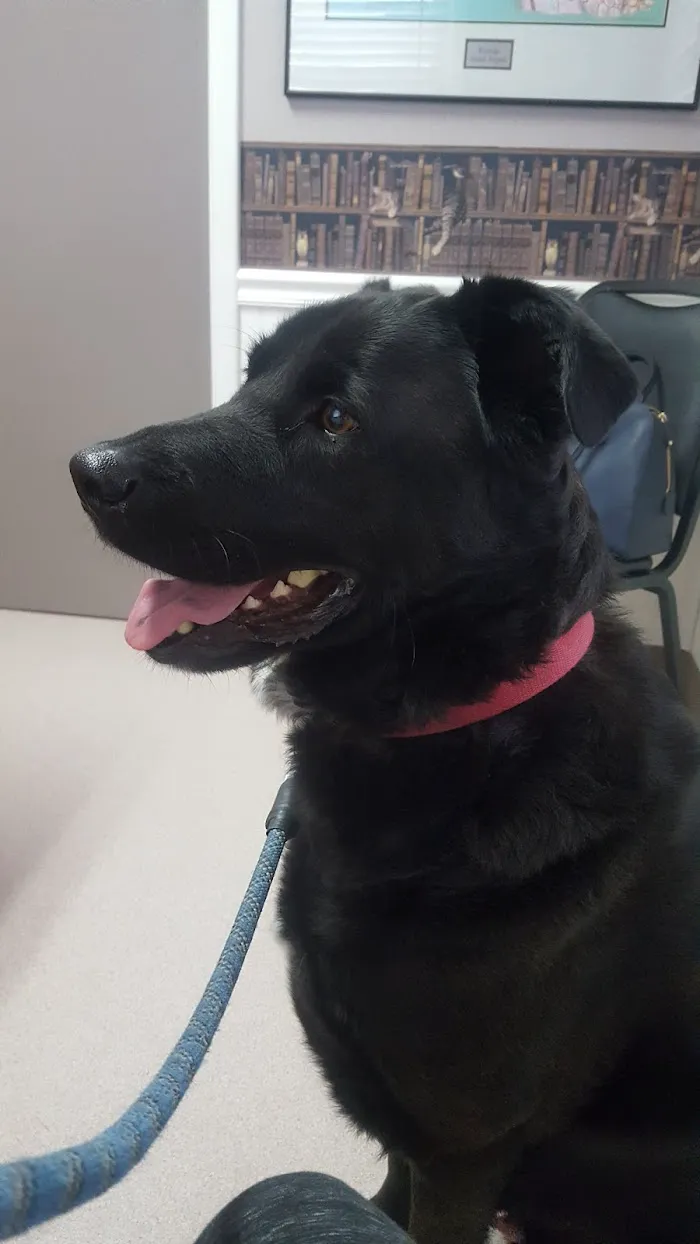 Westridge Veterinary Hospital 12