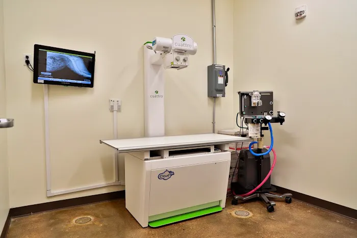 South Platte Veterinary Hospital 12