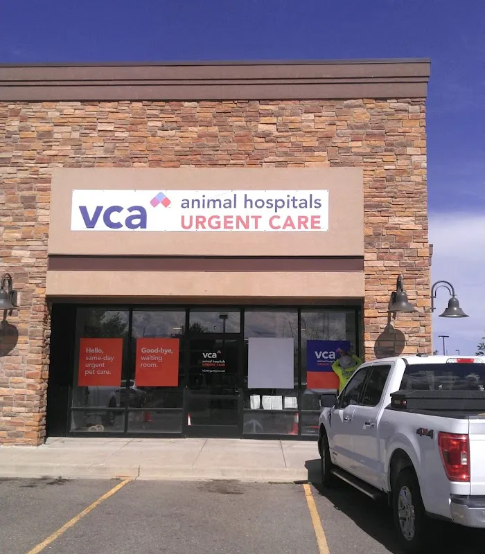 VCA Animal Hospitals Urgent Care - Wheat Ridge 12