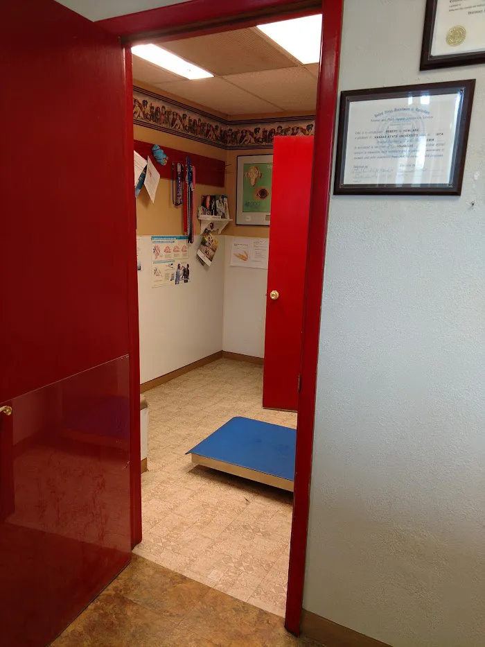 Dr. Bob's Vet Shop 12