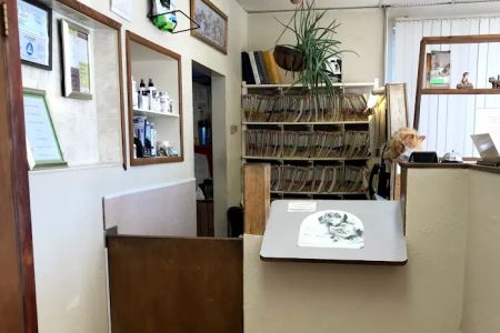 Dr. Bob's Vet Shop