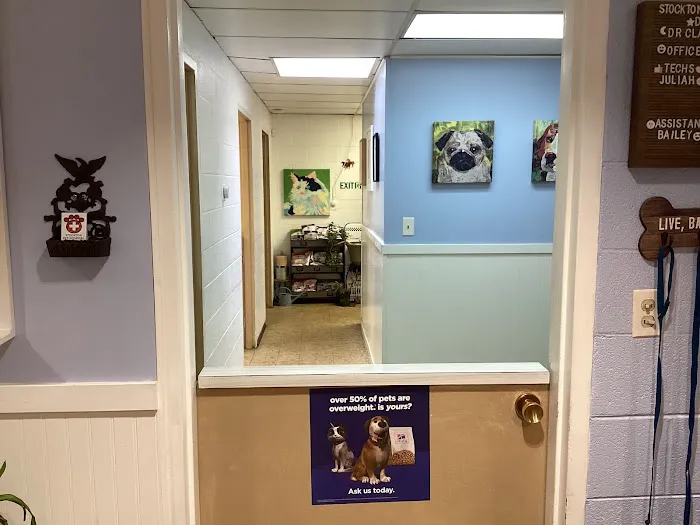 Stockton Pet Hospital 2
