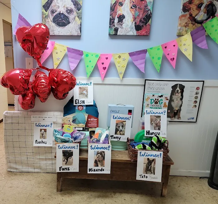 Stockton Pet Hospital 1