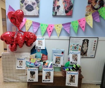 Stockton Pet Hospital
