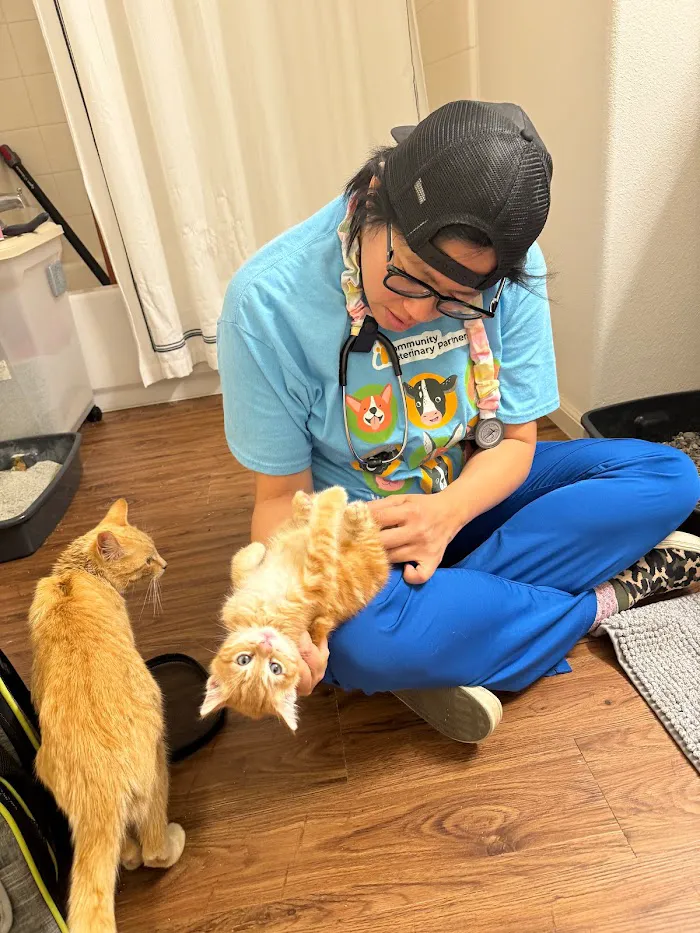 Mobile Small Animal Clinic 12