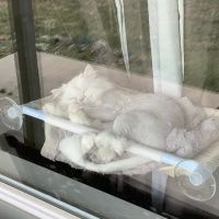 Mobile Small Animal Clinic ico