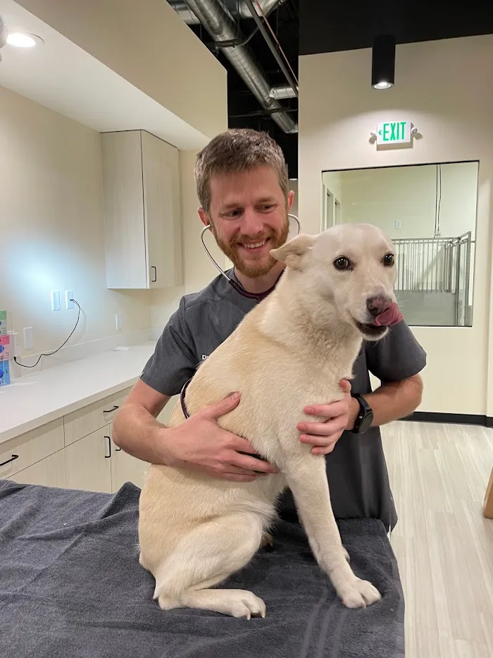 Sploot Veterinary Care - Highlands 12