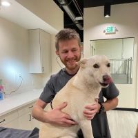Sploot Veterinary Care - Highlands ico