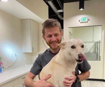 Sploot Veterinary Care - Highlands