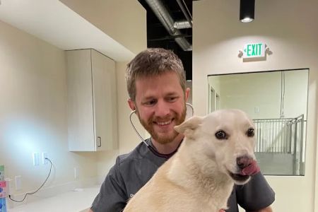 Sploot Veterinary Care - Highlands
