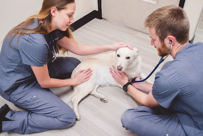 Sploot Veterinary Care - Highlands 12