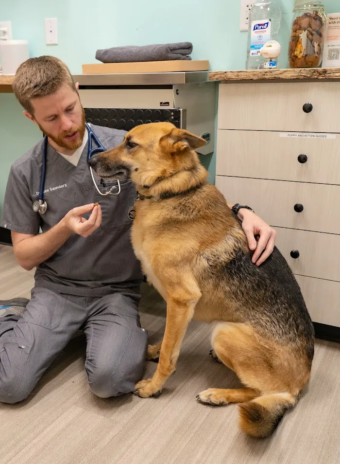 Sploot Veterinary Care - Highlands 12