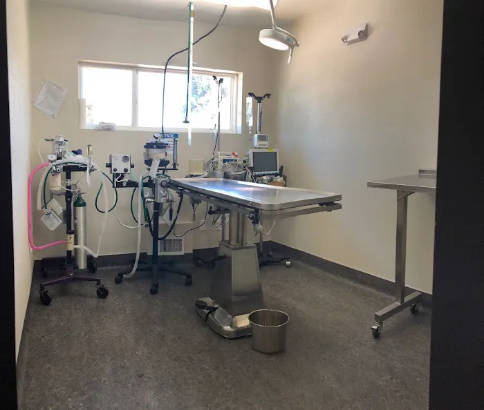Olde Town Veterinary Clinic 12