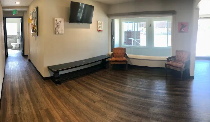 Olde Town Veterinary Clinic 12