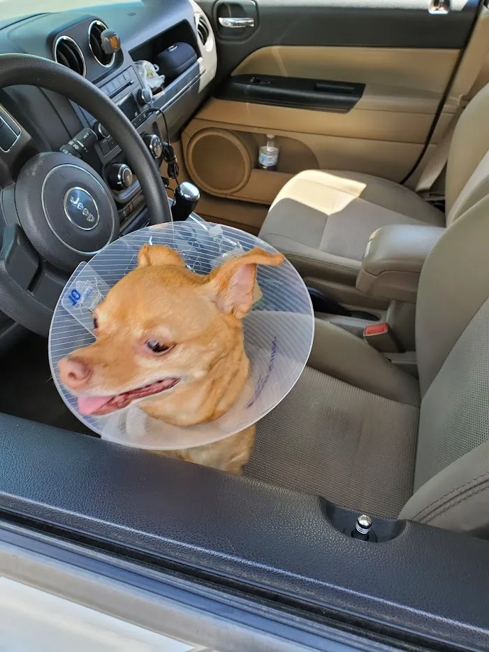 Table Mountain Veterinary Clinic 12