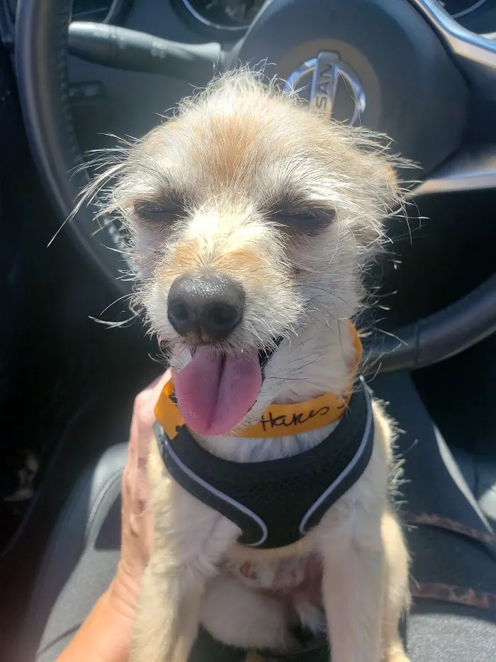 Banfield Pet Hospital 1