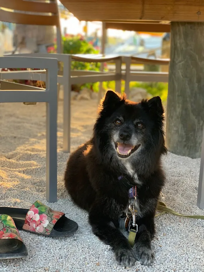 Banfield Pet Hospital 6