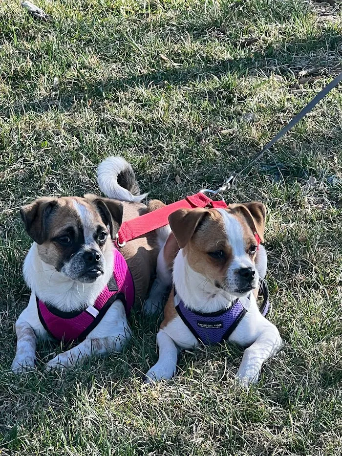Banfield Pet Hospital 7