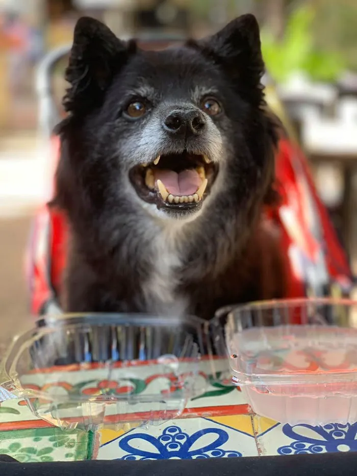 Banfield Pet Hospital 8