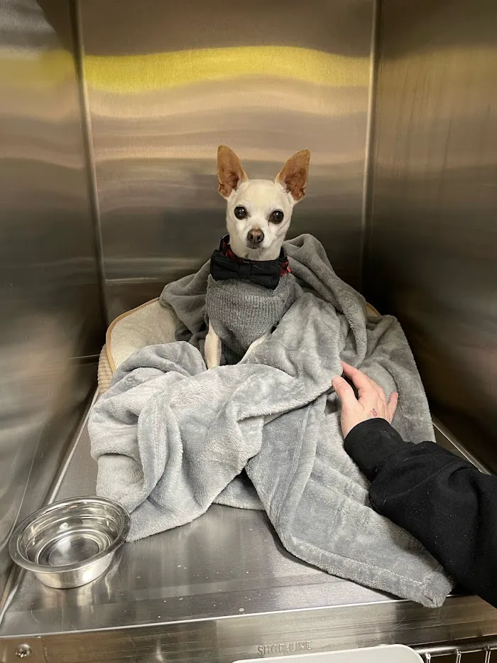 Vetco Total Care Animal Hospital 10