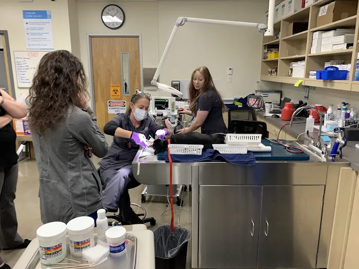 Vetco Total Care Animal Hospital 6