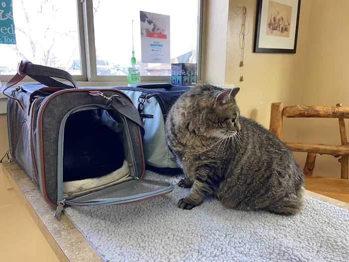 Second Chances Veterinary Care 12