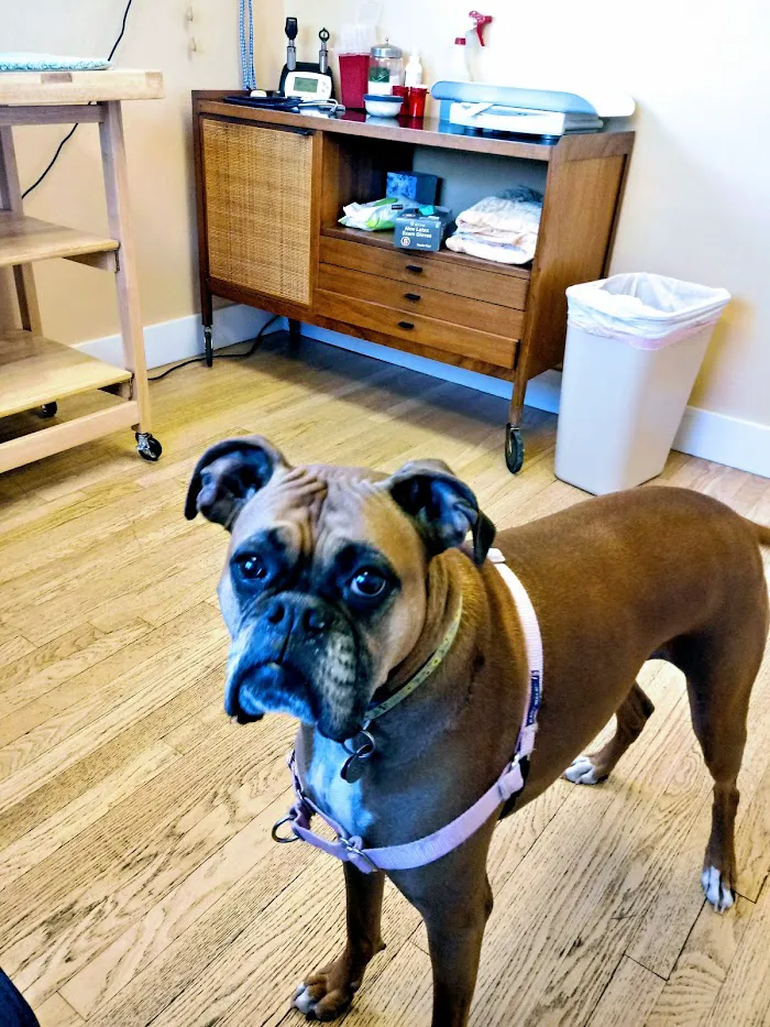Second Chances Veterinary Care 12