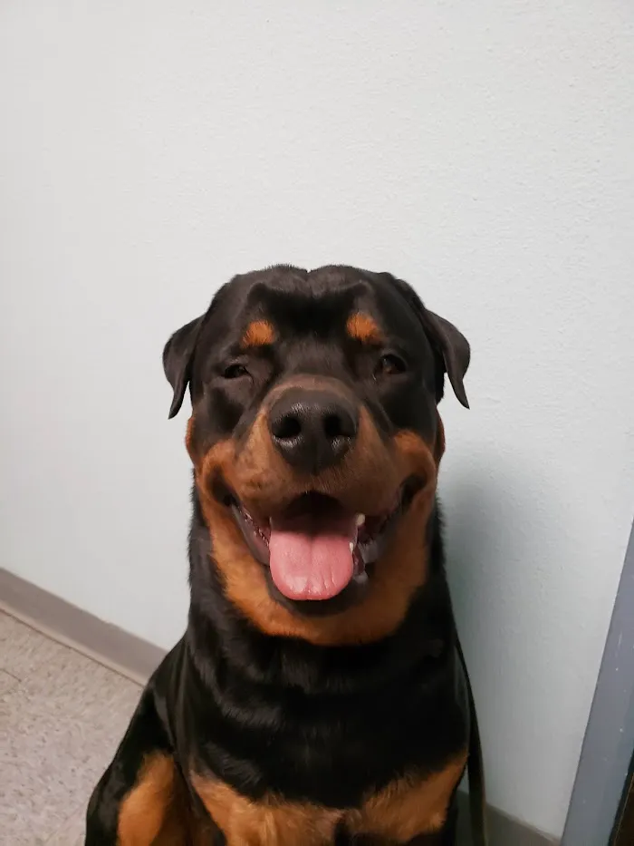 Barnes Veterinary Services 12