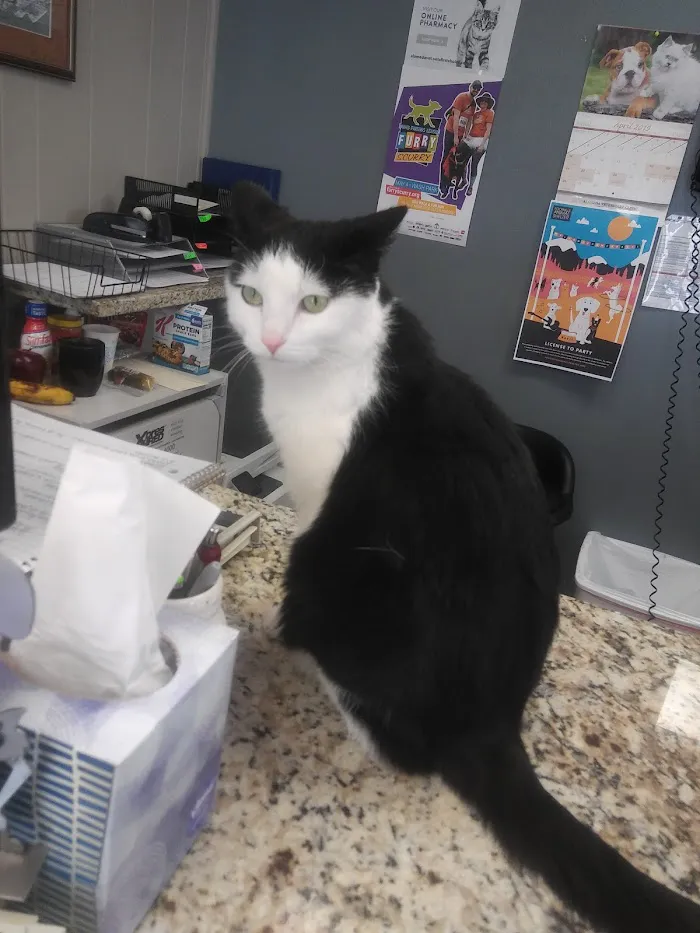 Alameda Veterinary Clinic 12