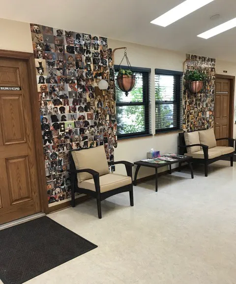 Francis Veterinary Hospital 12