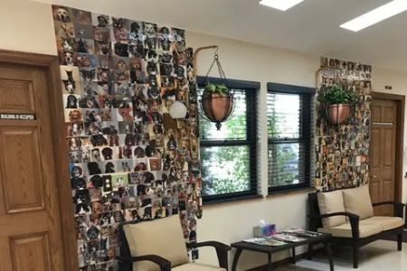 Francis Veterinary Hospital