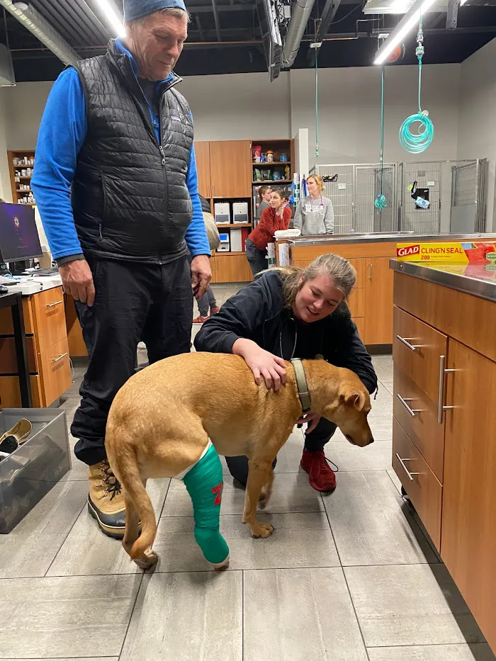 Veterinary Emergency Group 4