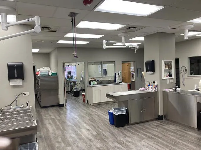 West Denver Veterinary Hospital & Wellness 12