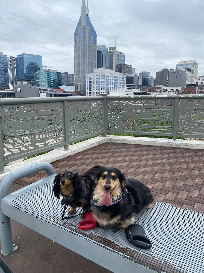 West Denver Veterinary Hospital & Wellness 12