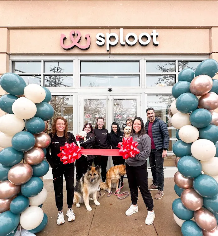 Sploot Veterinary Care - Belmar 12