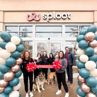 Sploot Veterinary Care - Belmar ico