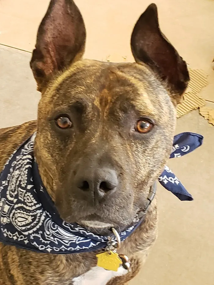 Sploot Veterinary Care - Belmar 12