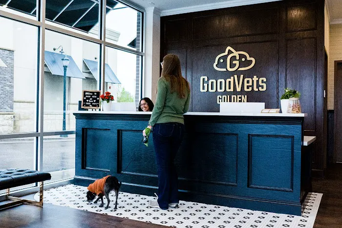 GoodVets Golden 12