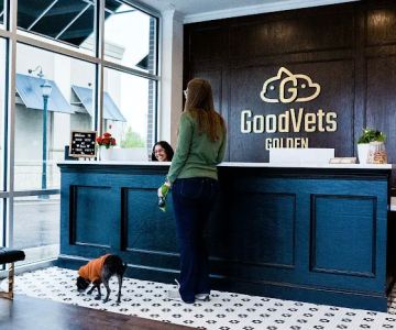 GoodVets Golden
