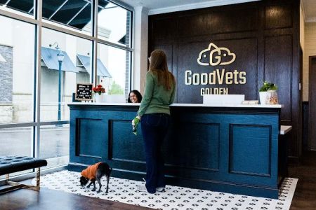 GoodVets Golden