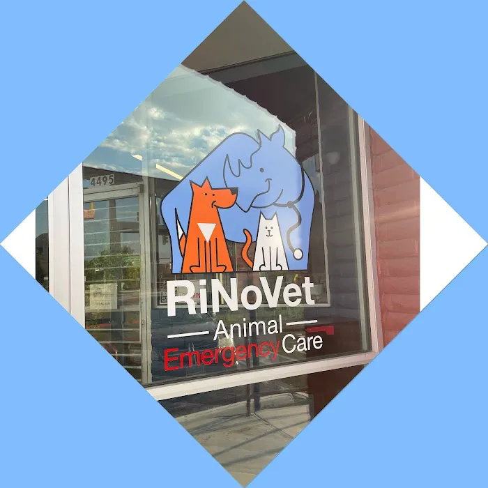 RiNoVet Animal Emergency Care 12