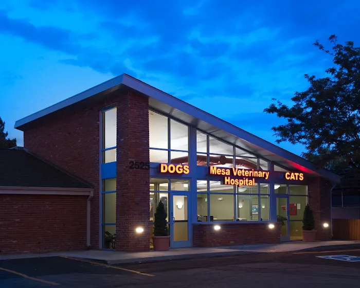 Mesa Veterinary Hospital 12