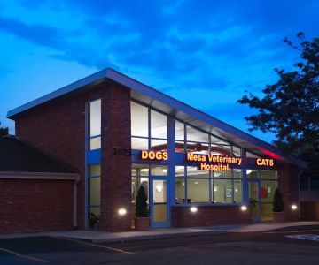 Mesa Veterinary Hospital
